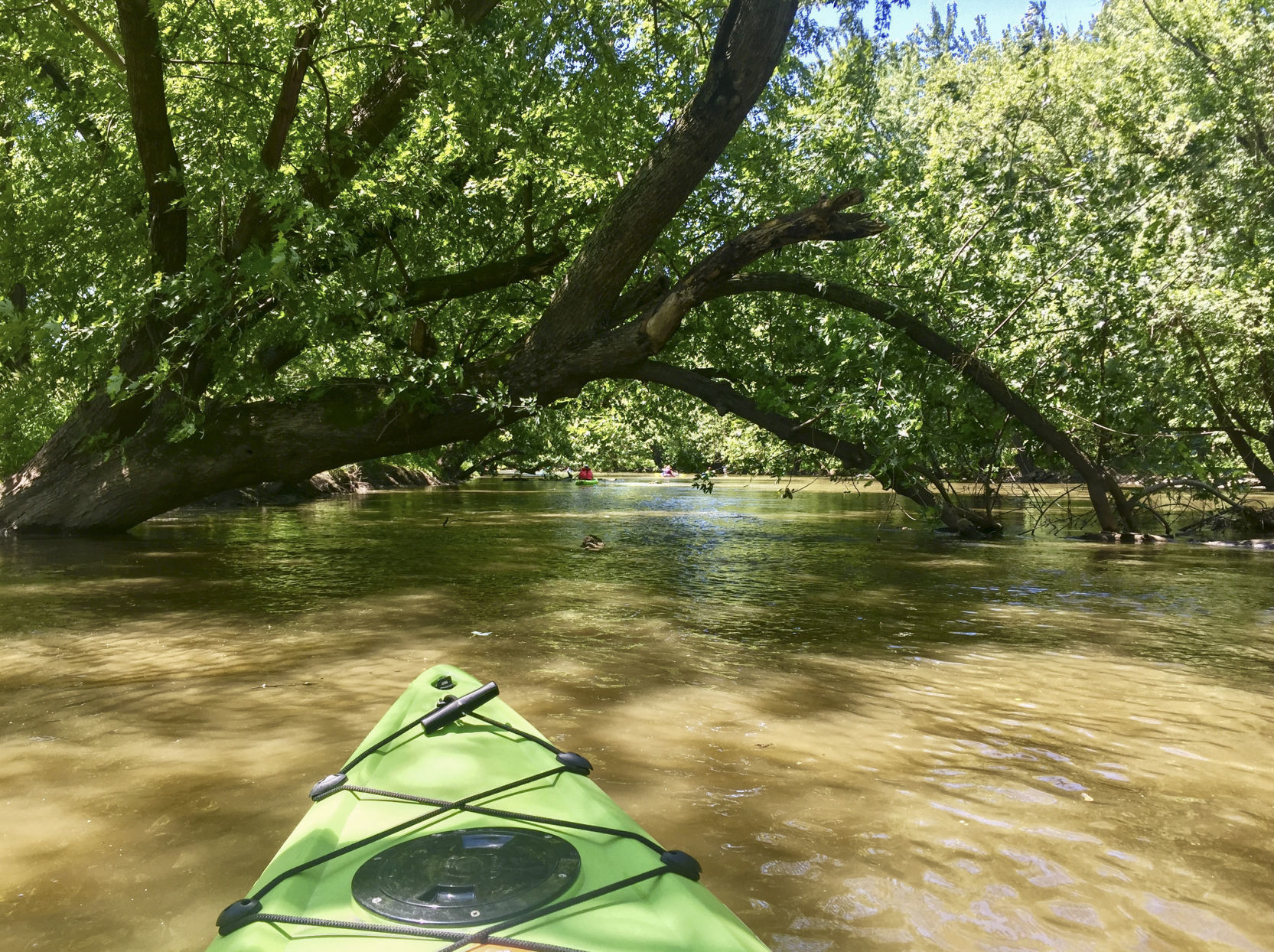 Kayaking "The Amazon"